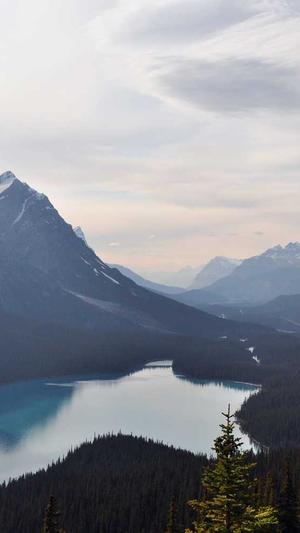 蜘蛛池工作原理截图2