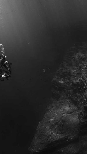 seo优化网页截图1