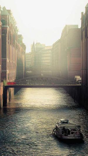 最便宜的蜘蛛池截图1