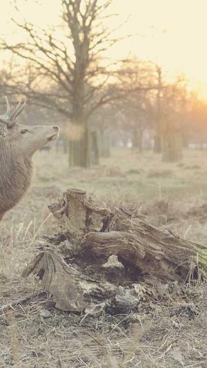 网站建设与维护截图2