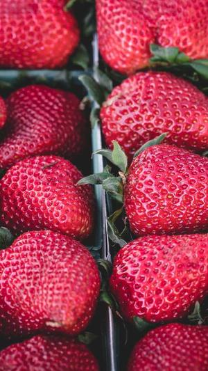 超级蜘蛛池是骗子截图3