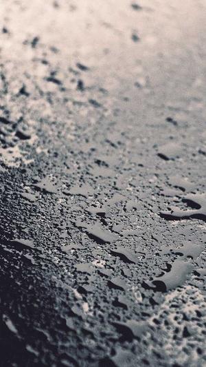 搜狗泛目录程序截图4