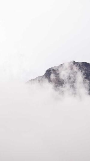 seo排名工具原理揭秘截图2