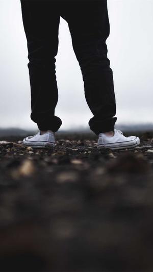 seo拓词工具截图1