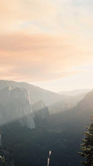 零距离泛目录截图1