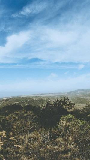 深圳外贸网站建设截图2