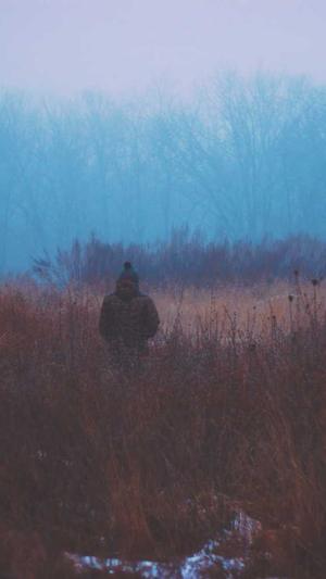 优化工具seo大全截图4