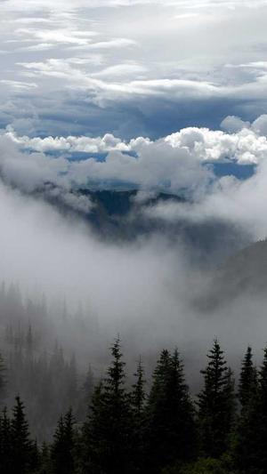 seo优化工具网站截图3