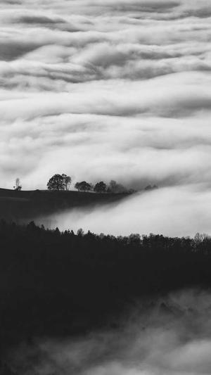 外贸 网站 建设截图5