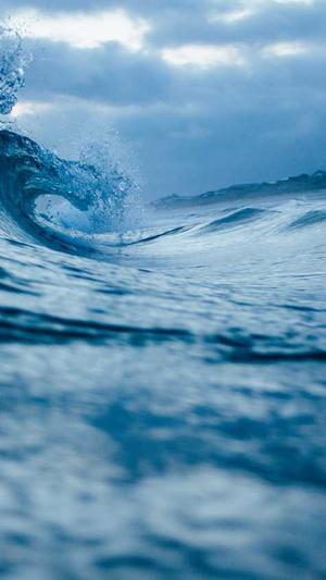 枣庄seo优化截图3