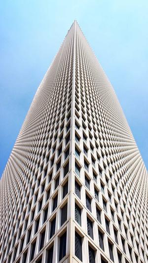 seo短视频网页入口网站推广截图1