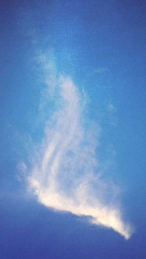 快速优化seo工具截图3