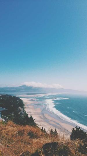 红蜘蛛池网是什么截图3